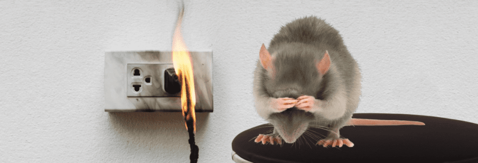 Extreme Termite & Pest Control Rodent Control